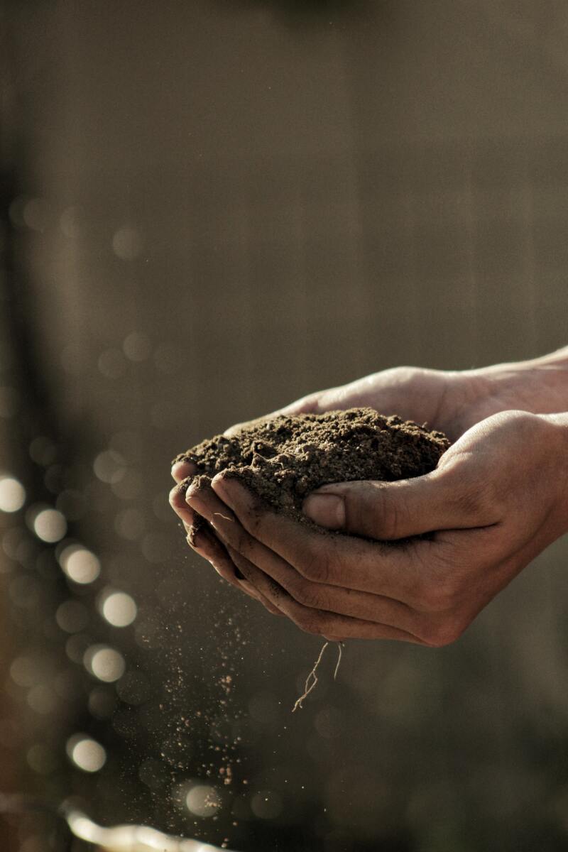 Boek een afspraak voor tuinadvies op maat