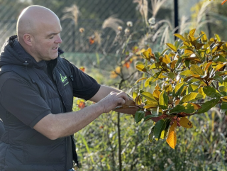 8 november is Nationale Boomplantdag!